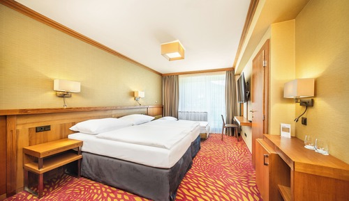 Superior Double Room with Skislope view