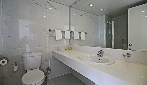 Habitación con 1 cama doble o 2 individuales, vistas al jardín