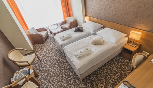 Habitación con 1 cama doble o 2 individuales (Free Wellness Access)