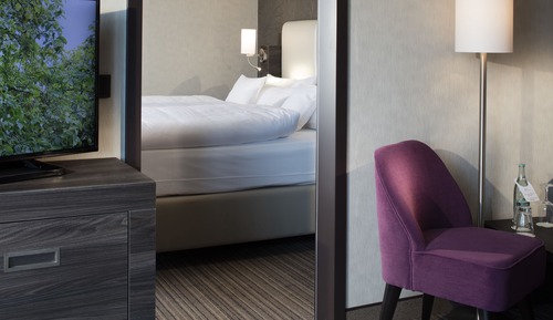 Suite, 1 cama de matrimonio grande con sofá cama (Single Use)