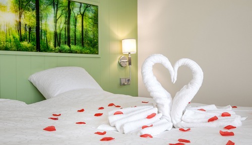 Suite junior, 1 cama de matrimonio grande
