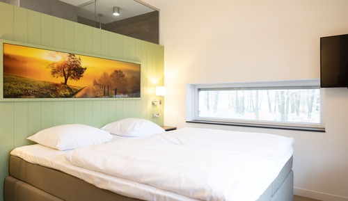 Habitación Confort