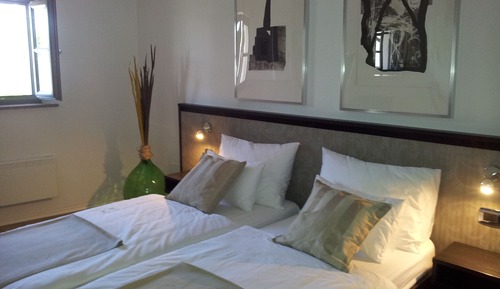Apartamento Premium, 1 habitación, cocina, vistas al viñedo