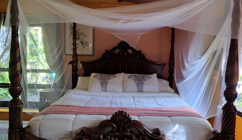 Suite, varias camas, frigorífico y microondas, en la zona del jardín