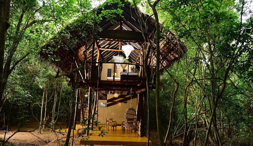 Casa en un árbol, vistas al jardín
