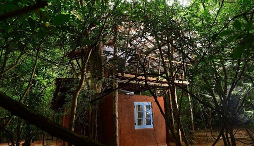 Casa en un árbol, 1 cama doble, vistas al jardín