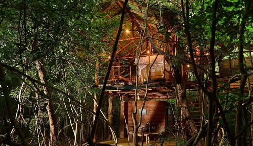 Casa en un árbol familiar