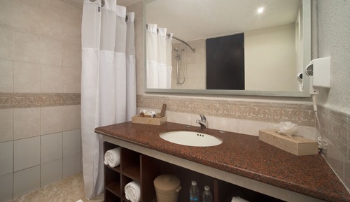 Habitación Deluxe, vistas al jardín