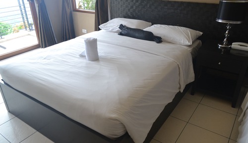 Habitación Deluxe, no fumadores