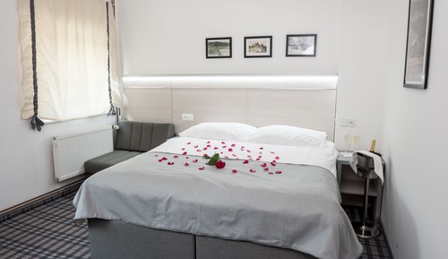 Habitación estándar con 1 cama doble o 2 individuales