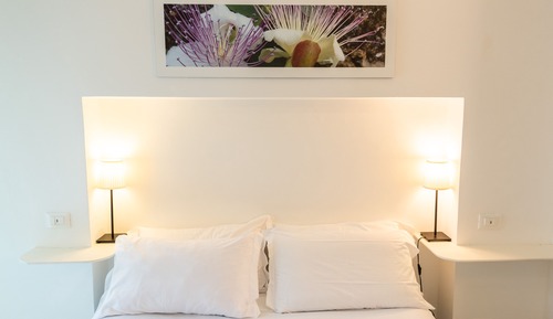 Habitación económica con 1 cama doble o 2 individuales