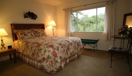 Habitación clásica, 1 cama de matrimonio