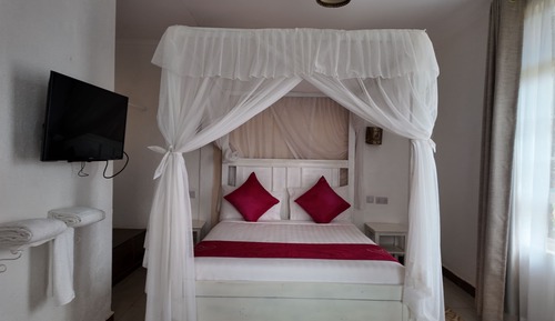 Standard Single Room, Mountain View