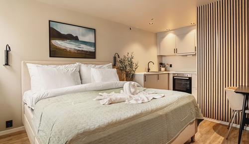 Apartamento Confort, 1 cama doble, no fumadores, baño privado