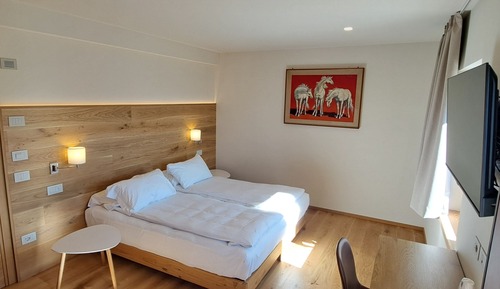 Double or Twin Room, Mountain View