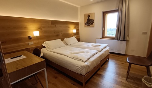 Basic Double Room