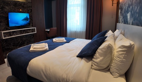 Habitación Deluxe con 1 cama doble o 2 individuales, no fumadores, Servicio de limpieza