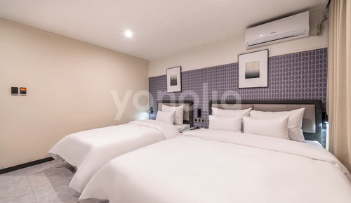 Habitación Deluxe con 2 camas individuales