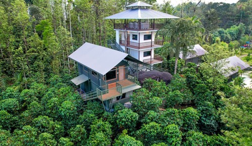 Habitación estándar, vistas al jardín