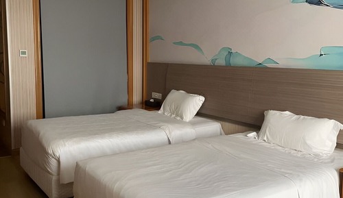 Habitación de lujo con 2 camas individuales