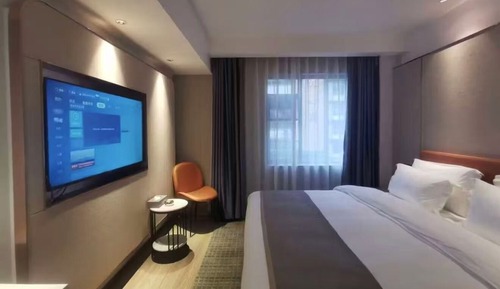 Comfort Single Room