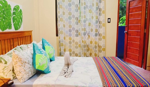 Estudio Confort, vistas al jardín