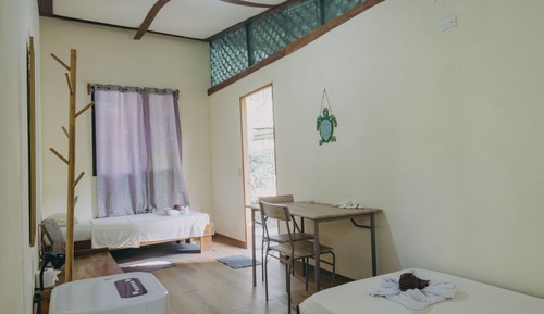 Habitación básica con 2 camas individuales, vistas al jardín