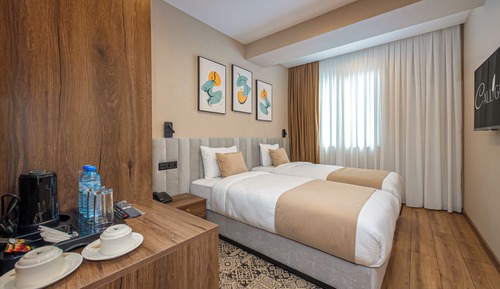 Habitación estándar con 2 camas individuales