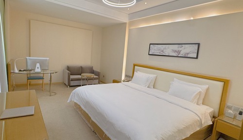 Habitación individual superior