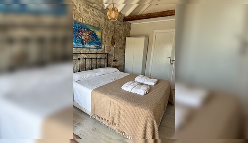Habitación estándar, vistas al jardín