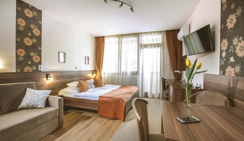 Suite estudio