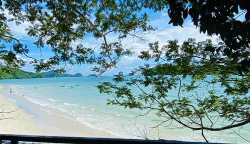 Casa en un árbol, vistas al mar