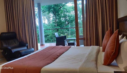 Habitación Deluxe doble, vistas al jardín