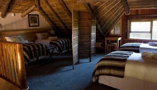 Chalet Deluxe, 1 cama de matrimonio, cocina básica, vistas al parque
