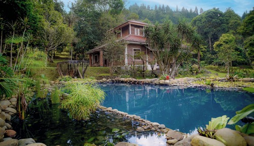 Villa estándar, vistas al jardín
