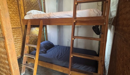 Dormitorio compartido económico, dormitorio mixto, Se admiten mascotas