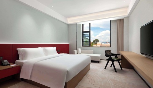 Suite Business, 1 cama de matrimonio grande, no fumadores