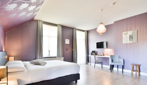 Habitación Deluxe doble, vistas al jardín