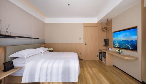 Habitación Premier doble