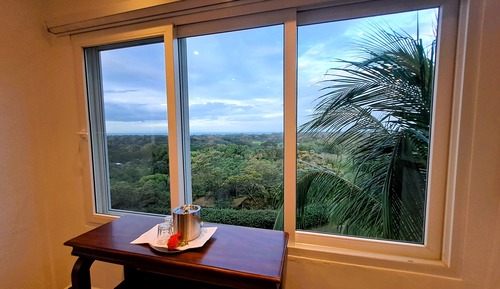 Suite junior, balcón, vistas al lago