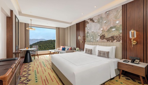 Habitación de lujo, 1 cama de matrimonio grande