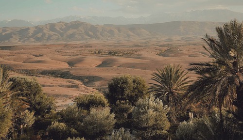 Habitación Deluxe doble, vistas al desierto