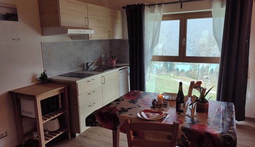 Estudio Deluxe, vistas al lago
