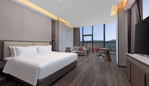 Habitación, 1 cama de matrimonio grande, vistas a la ciudad (Recreation)