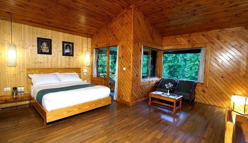Habitación junior