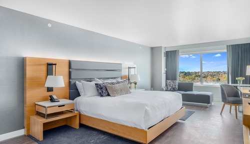 Habitación Deluxe, 1 cama de matrimonio grande