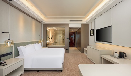 Habitación Premium, 1 cama de matrimonio grande