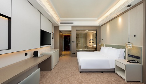 Habitación estándar, 1 cama de matrimonio grande