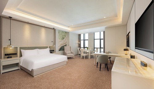Suite, 1 cama de matrimonio grande