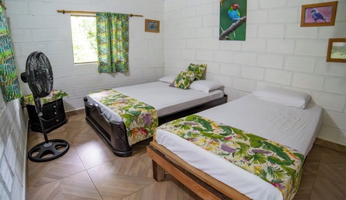 Habitación básica con 1 cama doble o 2 individuales, vistas al jardín
